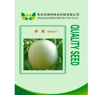網(wǎng)紋類甜瓜