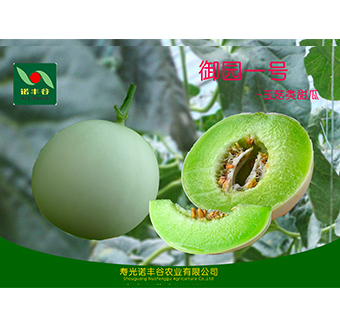 玉菇類甜瓜